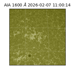 saia - 2026-02-07T11:00:14.126000