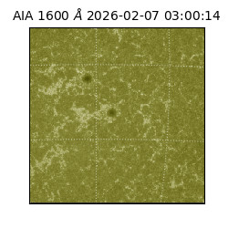 saia - 2026-02-07T03:00:14.121000