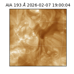saia - 2026-02-07T19:00:04.846000