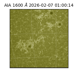 saia - 2026-02-07T01:00:14.125000