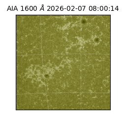 saia - 2026-02-07T08:00:14.126000