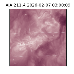 saia - 2026-02-07T03:00:09.619000