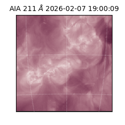 saia - 2026-02-07T19:00:09.633000