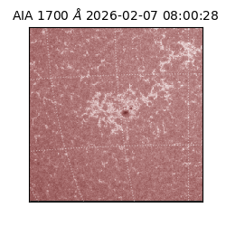 saia - 2026-02-07T08:00:28.717000