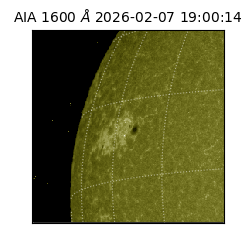 saia - 2026-02-07T19:00:14.126000