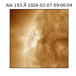 saia - 2026-02-07T09:00:04.843000