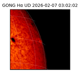 gong - 2026-02-07T03:02:02