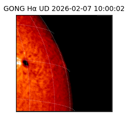 gong - 2026-02-07T10:00:02