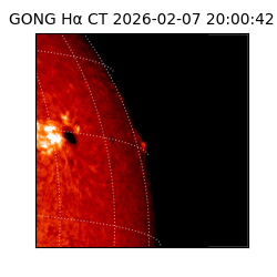 gong - 2026-02-07T20:00:42