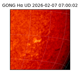 gong - 2026-02-07T07:00:02