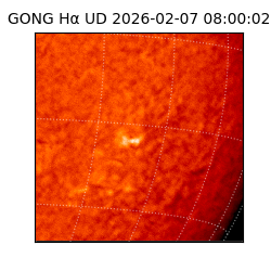 gong - 2026-02-07T08:00:02