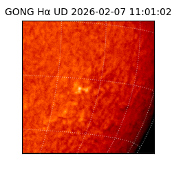 gong - 2026-02-07T11:01:02