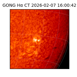 gong - 2026-02-07T16:00:42