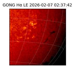 gong - 2026-02-07T02:37:42
