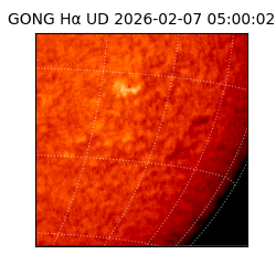gong - 2026-02-07T05:00:02