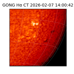 gong - 2026-02-07T14:00:42