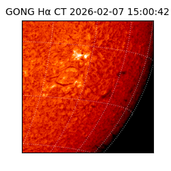 gong - 2026-02-07T15:00:42