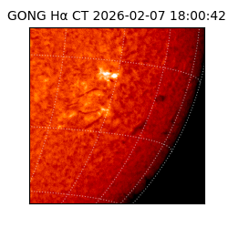 gong - 2026-02-07T18:00:42