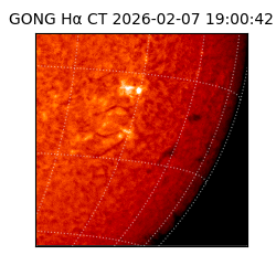 gong - 2026-02-07T19:00:42