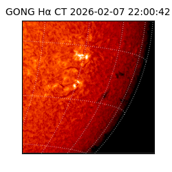 gong - 2026-02-07T22:00:42