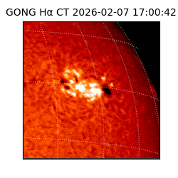 gong - 2026-02-07T17:00:42
