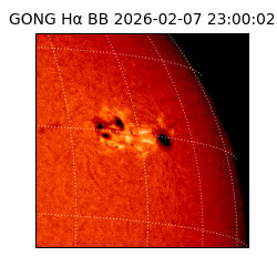 gong - 2026-02-07T23:00:02