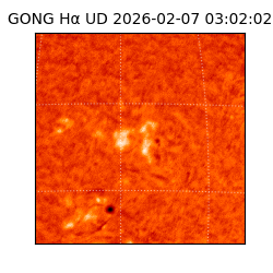 gong - 2026-02-07T03:02:02