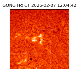 gong - 2026-02-07T12:04:42