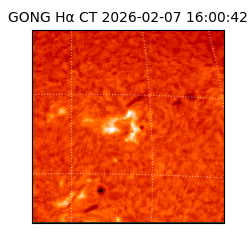 gong - 2026-02-07T16:00:42