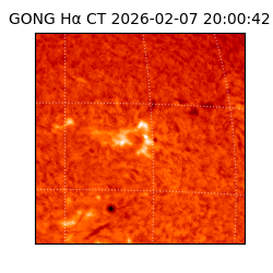 gong - 2026-02-07T20:00:42