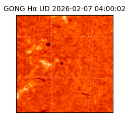 gong - 2026-02-07T04:00:02