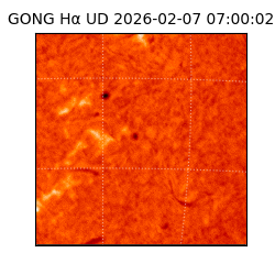 gong - 2026-02-07T07:00:02