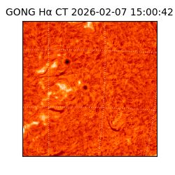 gong - 2026-02-07T15:00:42