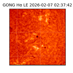 gong - 2026-02-07T02:37:42