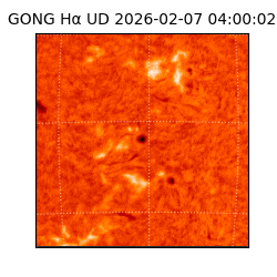 gong - 2026-02-07T04:00:02