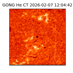 gong - 2026-02-07T12:04:42