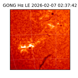 gong - 2026-02-07T02:37:42
