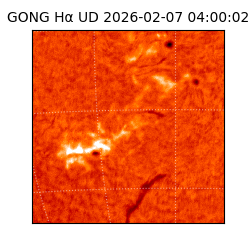 gong - 2026-02-07T04:00:02