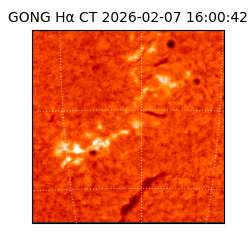 gong - 2026-02-07T16:00:42