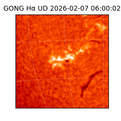gong - 2026-02-07T06:00:02