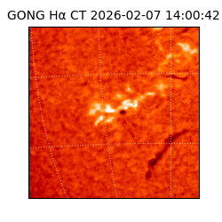 gong - 2026-02-07T14:00:42