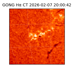 gong - 2026-02-07T20:00:42