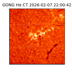 gong - 2026-02-07T22:00:42