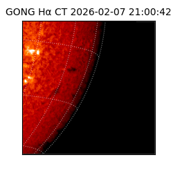 gong - 2026-02-07T21:00:42