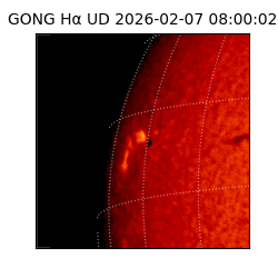 gong - 2026-02-07T08:00:02