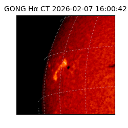 gong - 2026-02-07T16:00:42