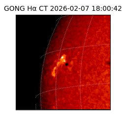 gong - 2026-02-07T18:00:42