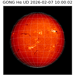 gong - 2026-02-07T10:00:02