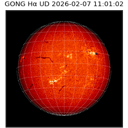 gong - 2026-02-07T11:01:02