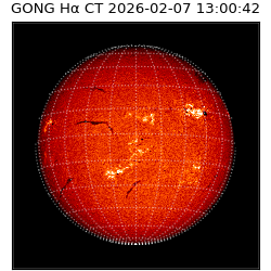 gong - 2026-02-07T13:00:42